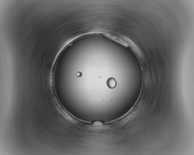 X0000116291292200912071203