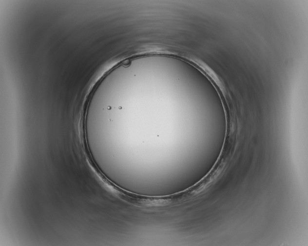 X0000116291293200912071203