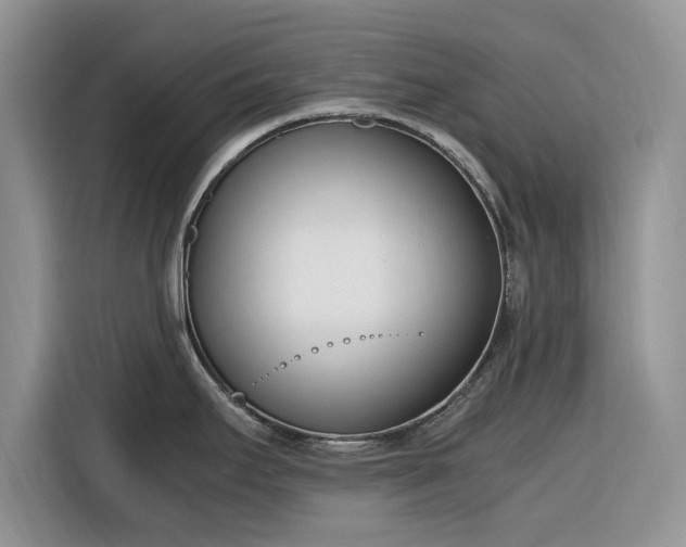 X0000116291295200912071203