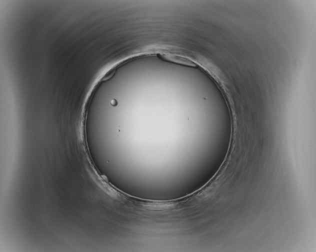 X0000116291296200912071203