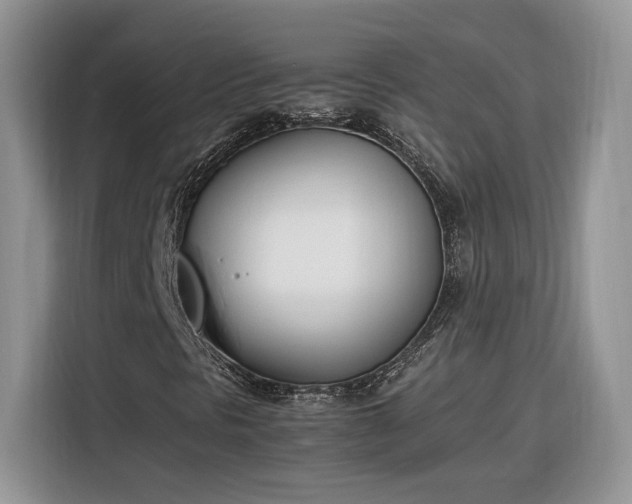 X0000116291297200912071202