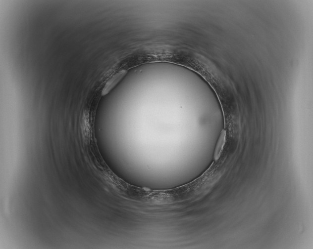 X0000116291298200912071202