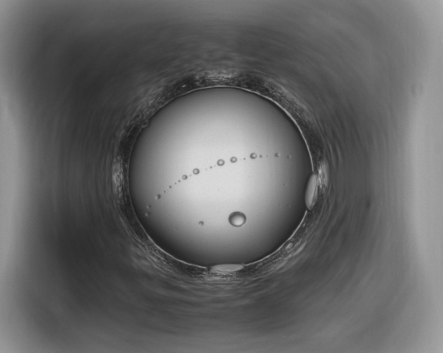 X0000116291299200912071202