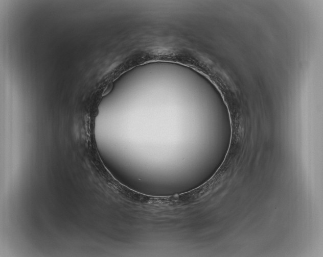 X0000116291301200912071202