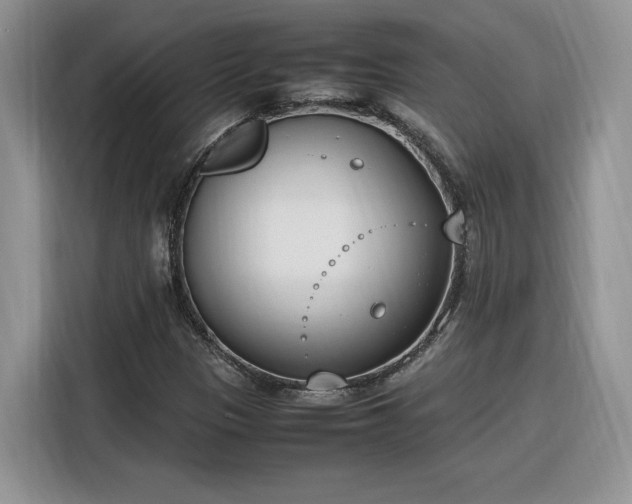 X0000116291305200912071202