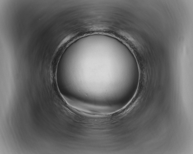 X0000116291306200912071202