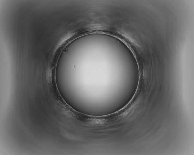 X0000116291309200912071202