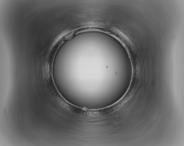 X0000116291310200912071202