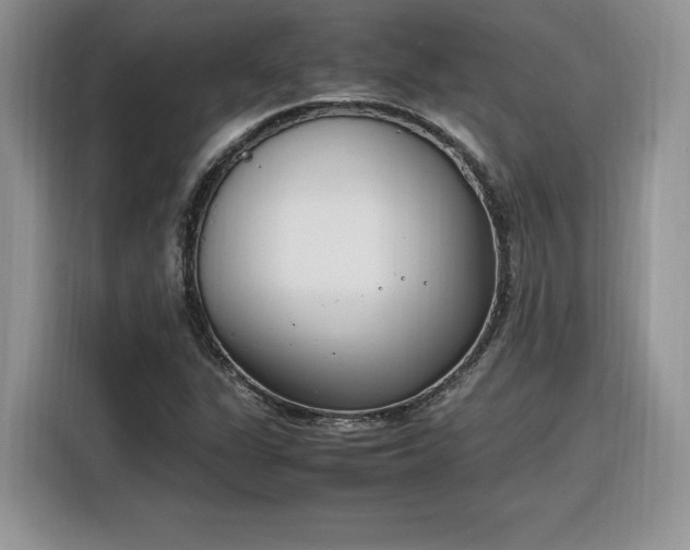 X0000116291311200912071202