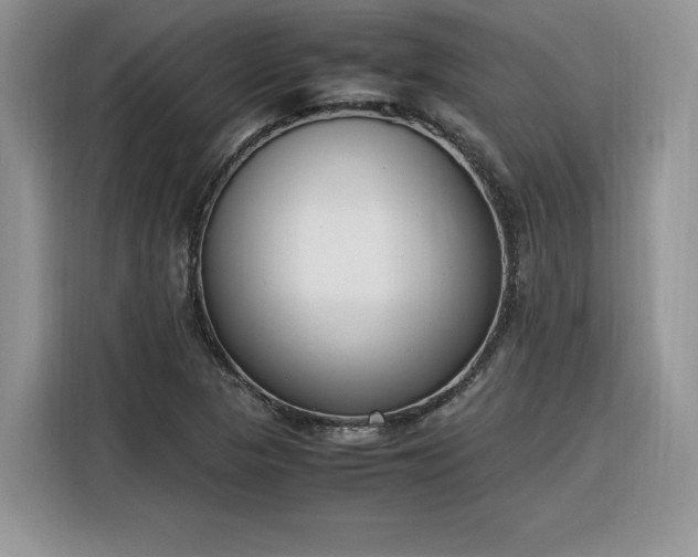 X0000116291313200912071202