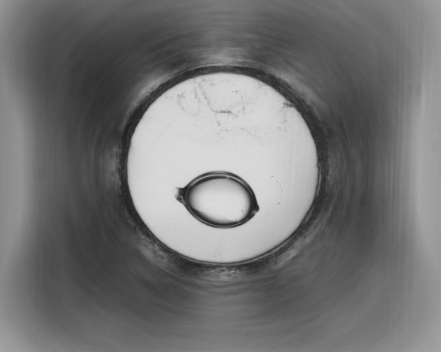 X0000116291314200912071202