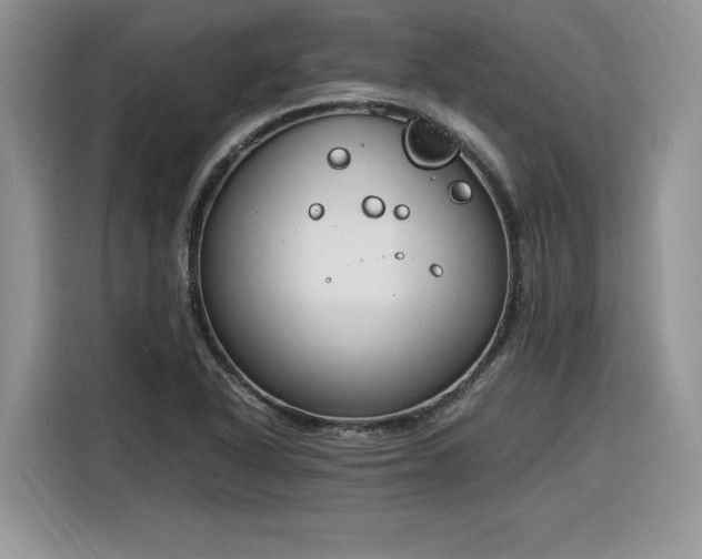 X0000116291318200912071203