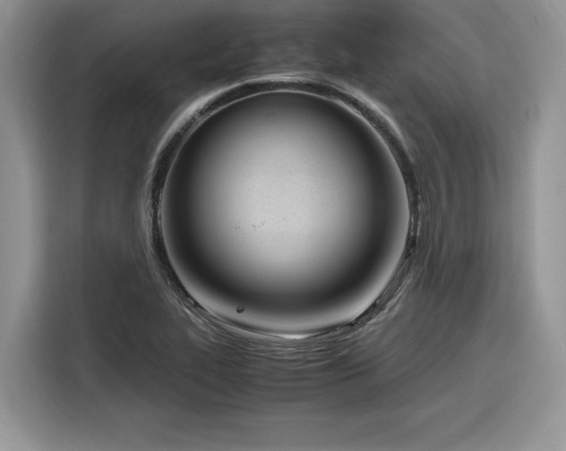 X0000116291319200912071203