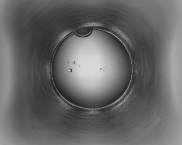 X0000116291321200912071203