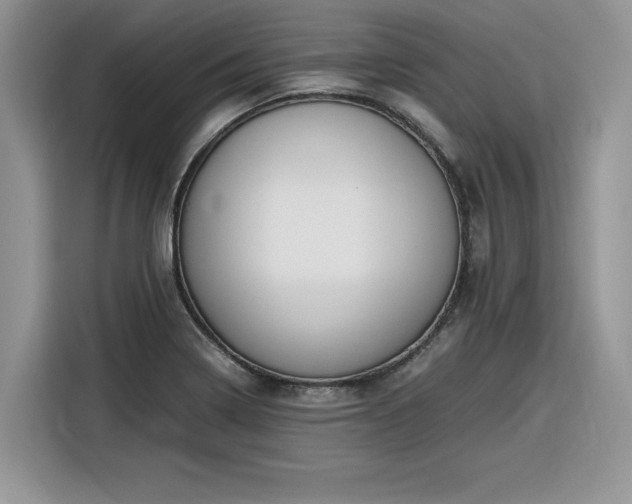 X0000116291322200912071203