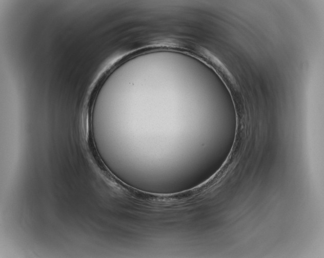 X0000116291323200912071203