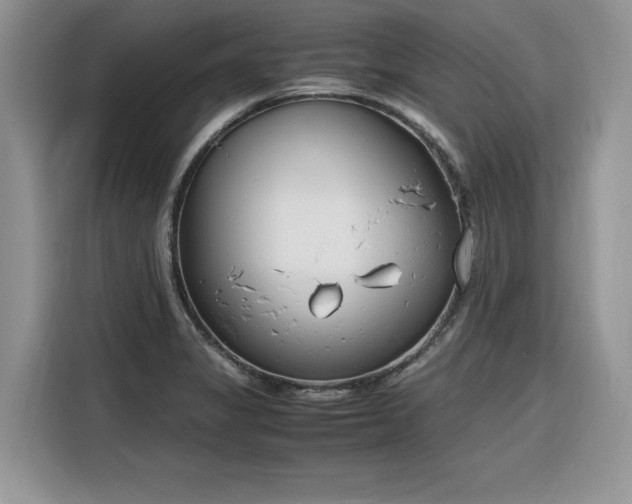 X0000116291325200912071203