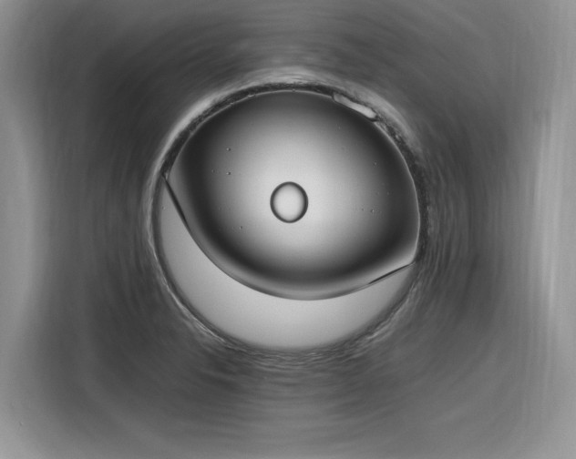 X0000116291326200912071203