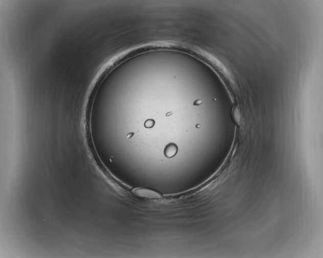 X0000116291327200912071203