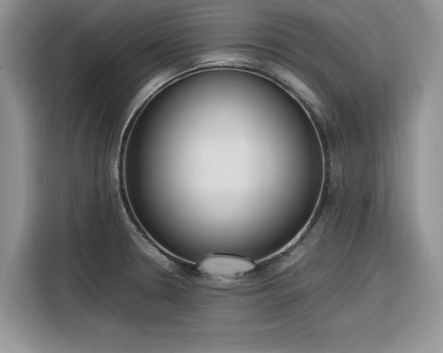 X0000116291330200912071203