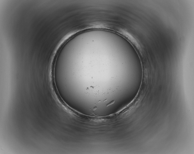 X0000116291331200912071203