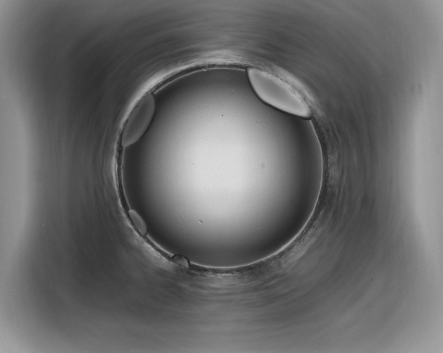 X0000116291334200912071203