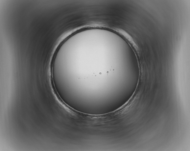 X0000116291335200912071203