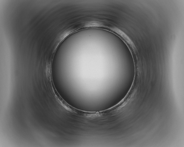 X0000116291337200912071203