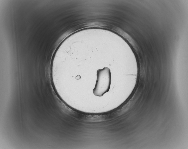 X0000116291338200912071203