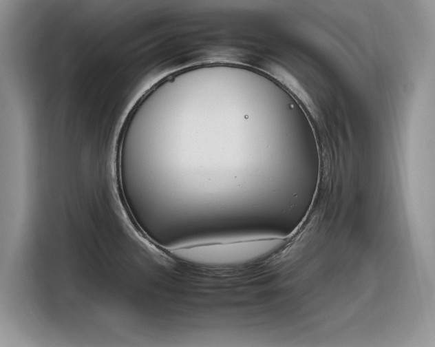 X0000116291339200912071203