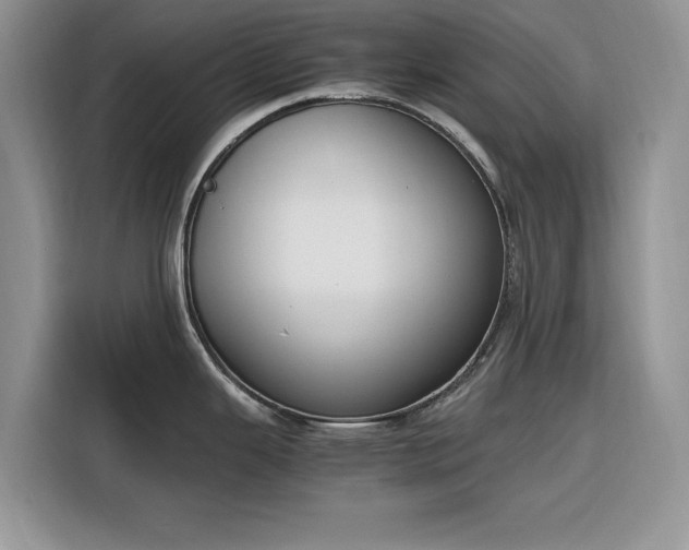 X0000116291343200912071203