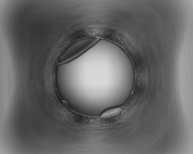 X0000116291345200912071202