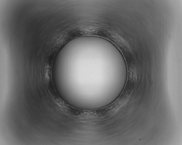 X0000116291346200912071202