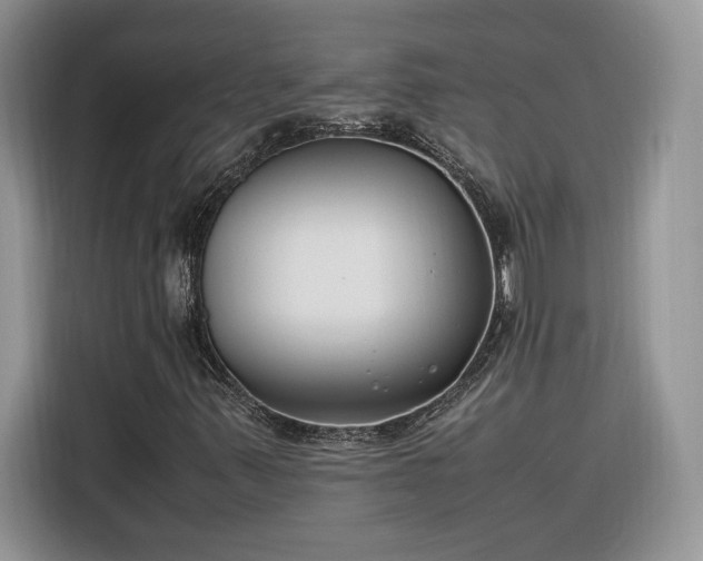 X0000116291347200912071202