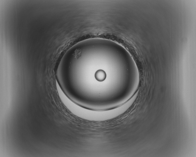 X0000116291349200912071202