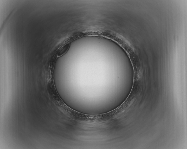 X0000116291350200912071202