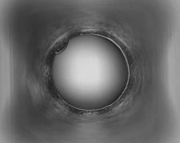 X0000116291351200912071202