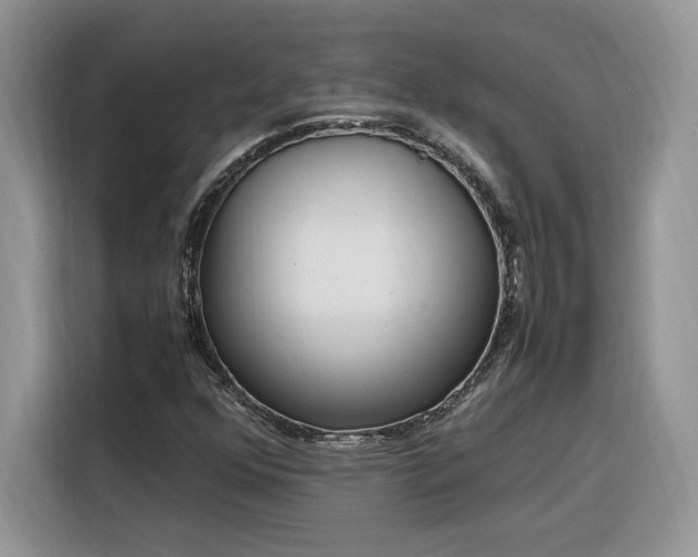 X0000116291352200912071202