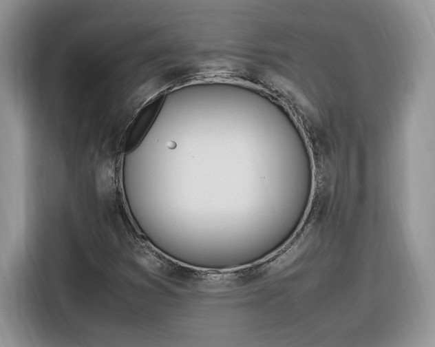 X0000116291353200912071202