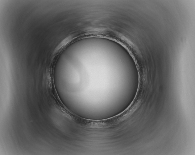 X0000116291354200912071202