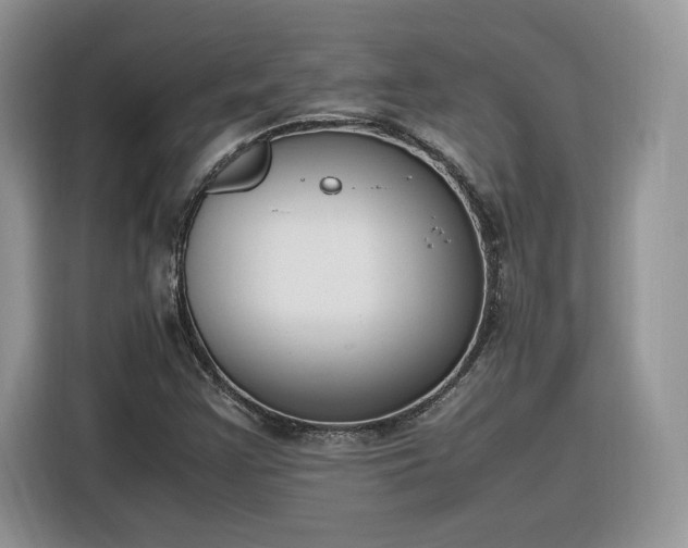 X0000116291355200912071202