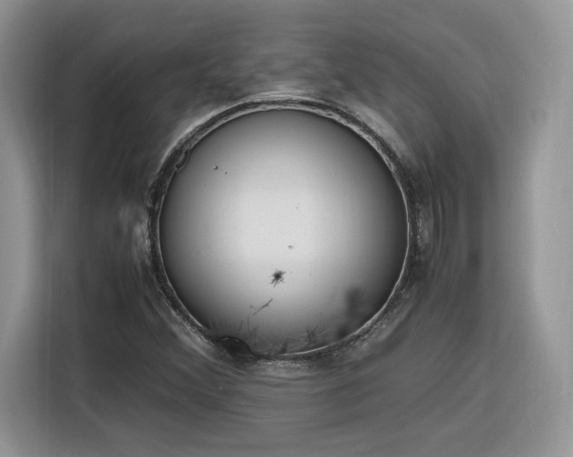 X0000116291356200912071202