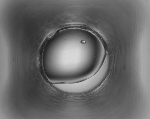 X0000116291357200912071202