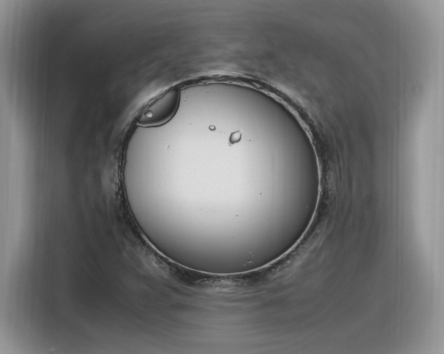 X0000116291359200912071202