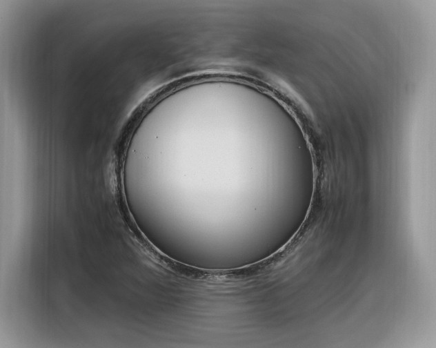 X0000116291360200912071202