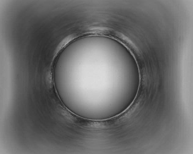 X0000116291362200912071202