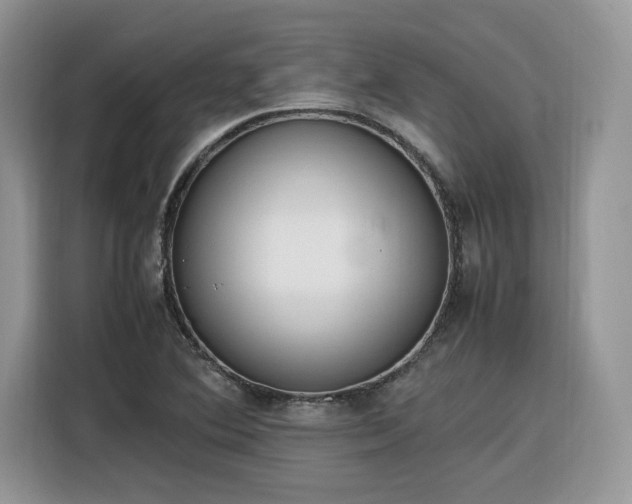 X0000116291364200912071202