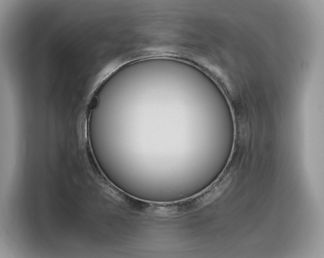 X0000116291365200912071202