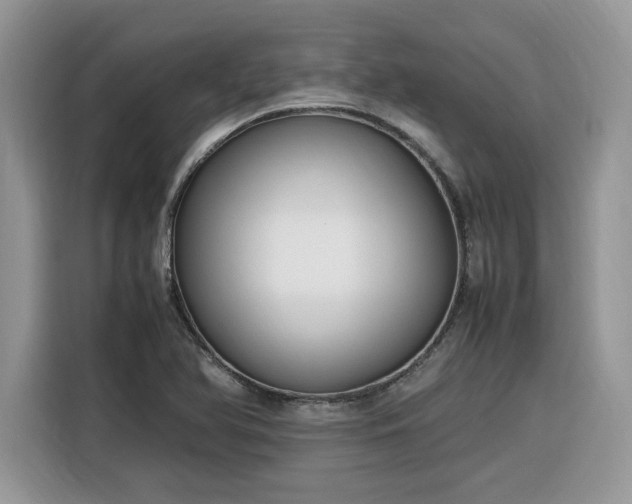 X0000116291366200912071202