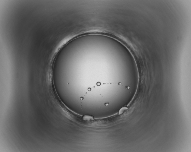 X0000116291367200912071202